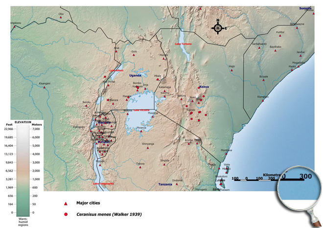 Distibution Map East Africa